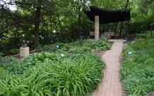 plants and a brick walkway to tantalize your senses in this sensory garden
