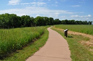 paved walkway, grass, trees