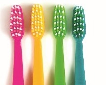 pink, yellow, green, and blue toothbrushes in a row