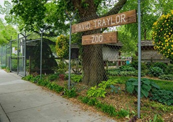 chain link fence with a sign on it that says david traylor zoo